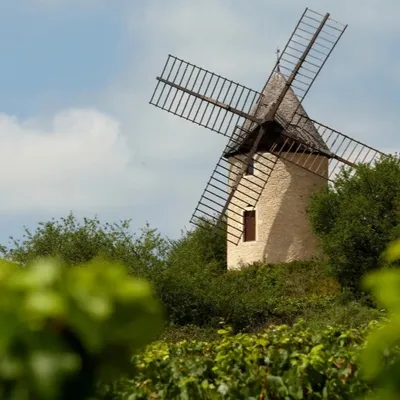 À Santenay, visitez un moulin au milieu des vignes et dégustez un...