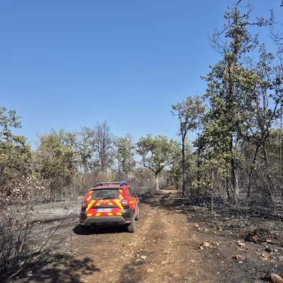 Après plus de 24h de combat, l'incendie est fixé à Couchey
