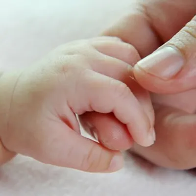 Davantage de décès que de naissances en 2025 : la population de...