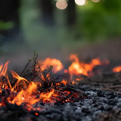 Un important feu de forêt mobilise plus de 100 pompiers entre...