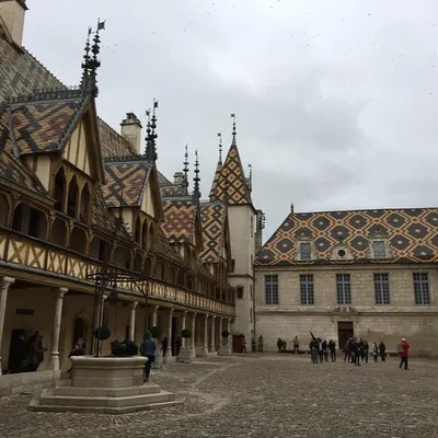 166e Vente des Vins des Hospices de Beaune : un Clos de Vougeot...