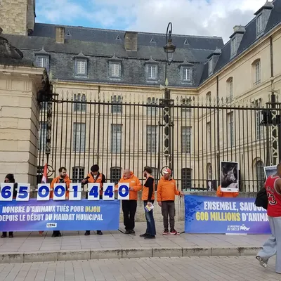 Pancartes, banderoles et interpellations de la classe politique :...