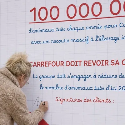 Dijon : L214 organise une « rentrée pas classe » devant Carrefour à...