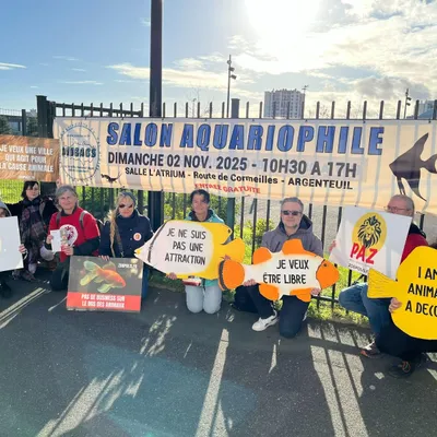 Concours aquariophile à Dijon : L’association PAZ dénonce une «...