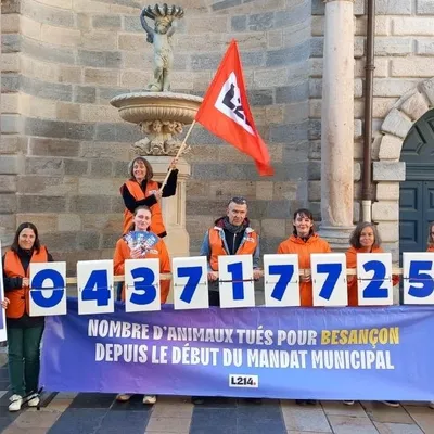 L214 alerte les candidats à la mairie de Dijon sur le nombre...