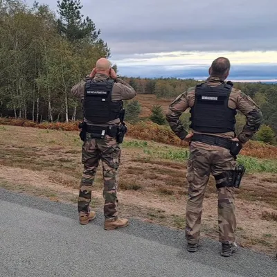 Le brame du cerf sous surveillance au camp militaire de La Courtine