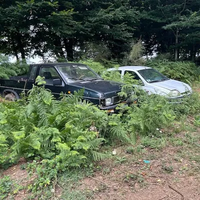 Les gendarmes luttent contre les atteintes à l’environnement