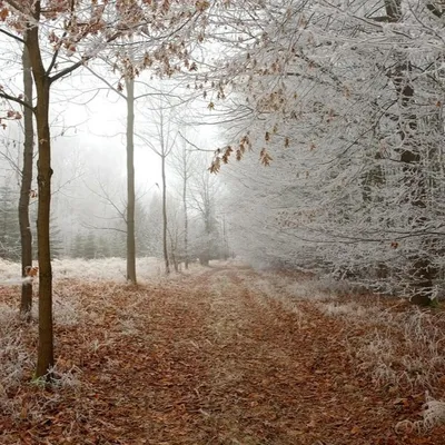 Plan Hivernal : passage au Niveau 1 'Temps froid' en Creuse