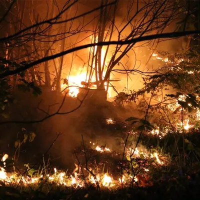 1 hectare détruit par les flammes au Bois de la Bastide