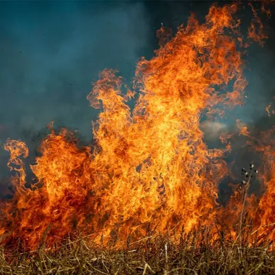 Incendies en Gironde : le Limousin se mobilise