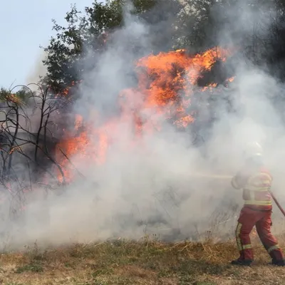 Incendies : 22 personnes accueillies en Haute-Vienne