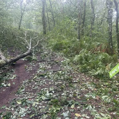 Orage : des dégâts importants au lac de Saint-Pardoux