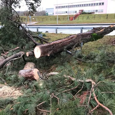 Tempête Goretti : 3000 foyers privés d’électricité en Limousin