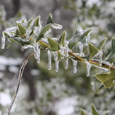 Limousin : vigilance orange Neige - Verglas