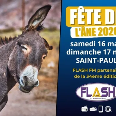 La 34ème fête de l’Âne de Saint-Paul