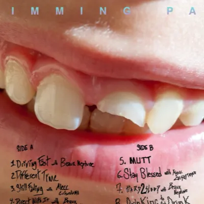 Et déjà un troisième album pour Swimming Paul !