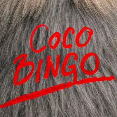 The Supermen Lovers et son album feel good 'Coco Bingo'