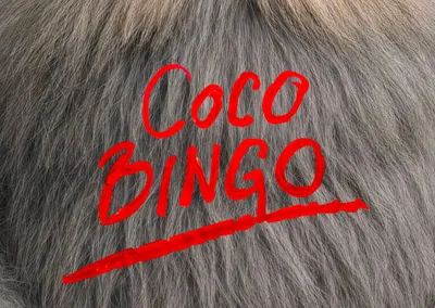 The Supermen Lovers et son album feel good 'Coco Bingo'