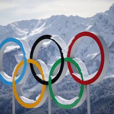 JO d'hiver 2026 : Deux Vosgiens sélectionnés pour représenter la...