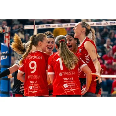 Volley-ball : les Louves de Saint-Dié-des-Vosges officiellement en...