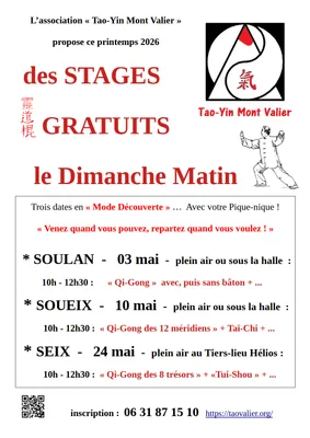 Qi-Gong, Tui-Shou, Taï-Chi-Chuan : Stage gratuit pour découvrir et...