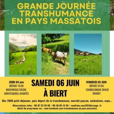 Grande journée de transhumance en Pays Massatois
