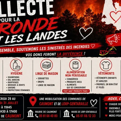 Incendies en Gironde et dans les Landes : une collecte de première...