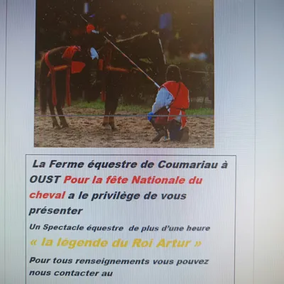 Oust : un spectacle équestre autour de la légende du roi Arthur