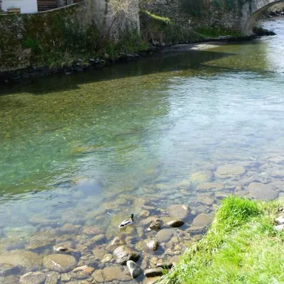 Le Lez : un partage de l’eau sous tension