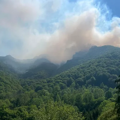 Un point sur l’incendie de Bordes-Uchentein