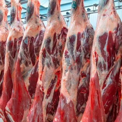 Un nouveau gestionnaire pour pérenniser l’abattoir de Saint-Girons
