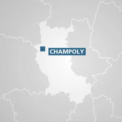 Champoly : 300 000 euros pour le château des cornes d'Urfée grâce...