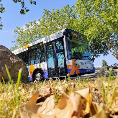 Roanne : L'octogénaire qui était coincé sous un bus n'a pas survécu 