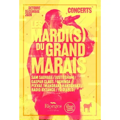 Concert des mardis du grand marais à Riorges