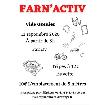 Vide grenier à Farnay