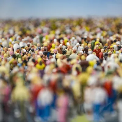 Loire : La campagne de recensement débute ce jeudi