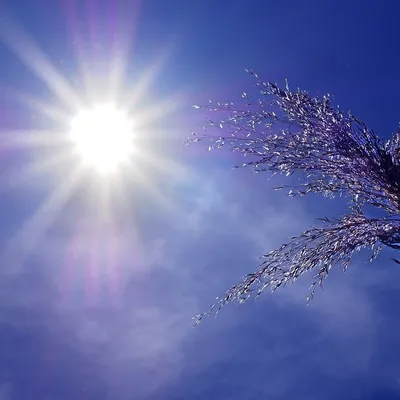 Canicule : la qualité de l'air se dégrade dans la Loire ! 