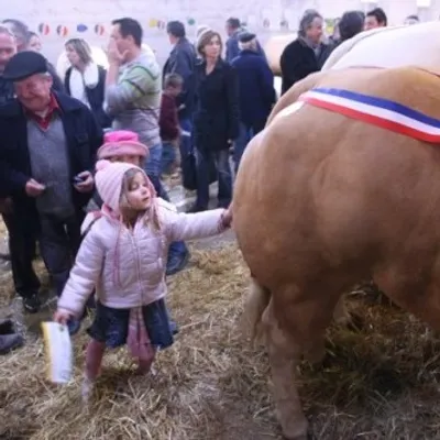 C'est parti pour le comice de Feurs !