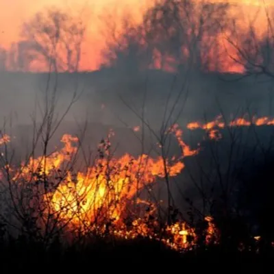 Loire : Un nouveau feu de végétation brûle 3 hectares