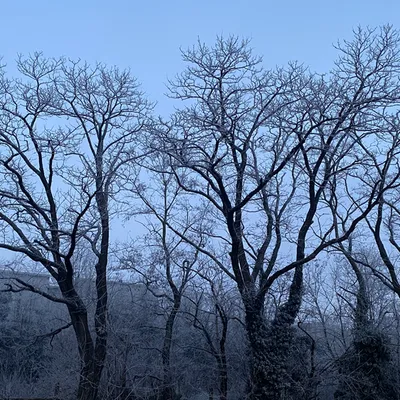 Loire : retour des giboulées et de la neige annoncé