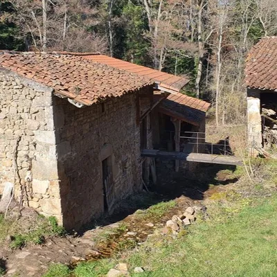 Loire : Le Moulin de l’Hermite à Périgneux fait partie des lauréats...