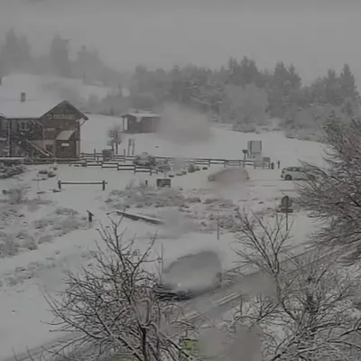 Loire/Haute-Loire : la neige est tombée, circulation délicate sur...