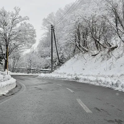 Loire : la neige de retour à partir de 700/800 mètres