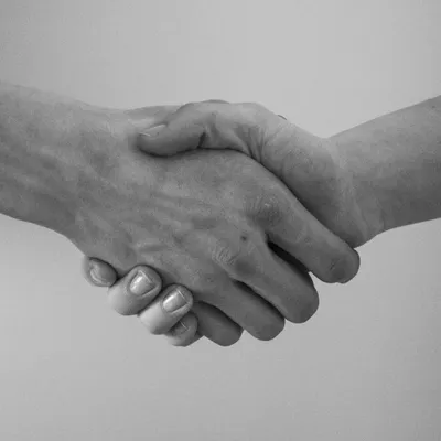 La CGT-FSU, le Mouvement de la paix et d’autres collectifs engagés...