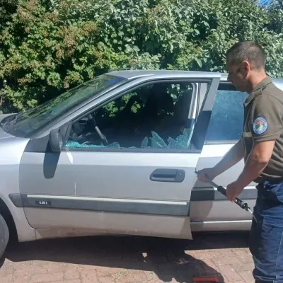 Outreau: Deux chiens sauvés après être restés plusieurs heures...