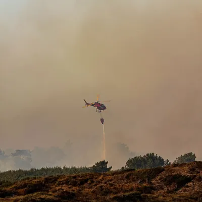 Incendie entre Dannes, Camiers et Hardelot : d’importants moyens...