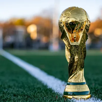 Fan zone, couvre-feu… Le point sur la Coupe du Monde à Toulouse