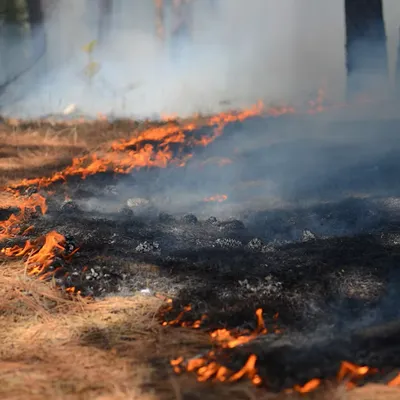 La Haute-Garonne en danger très élevé de risques d’incendies
