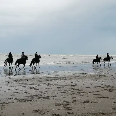 Le Touquet: Deux chevaux sèment la zizanie en ville 