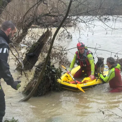 Inondations : sauvetage d'un chien sur la Garonne 